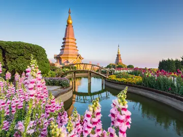 Internationale Konferenz zur Biodiversität in Thailand: Aufruf zum Handeln!