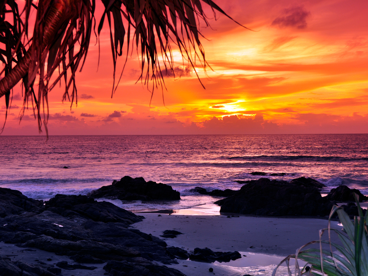 Phuket: Ein Paradies für britische Käufer und Traumwohnungen!